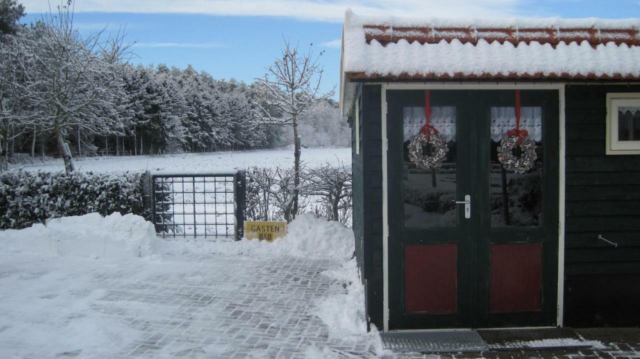 Inge'S Cottage Bergen op Zoom Bagian luar foto